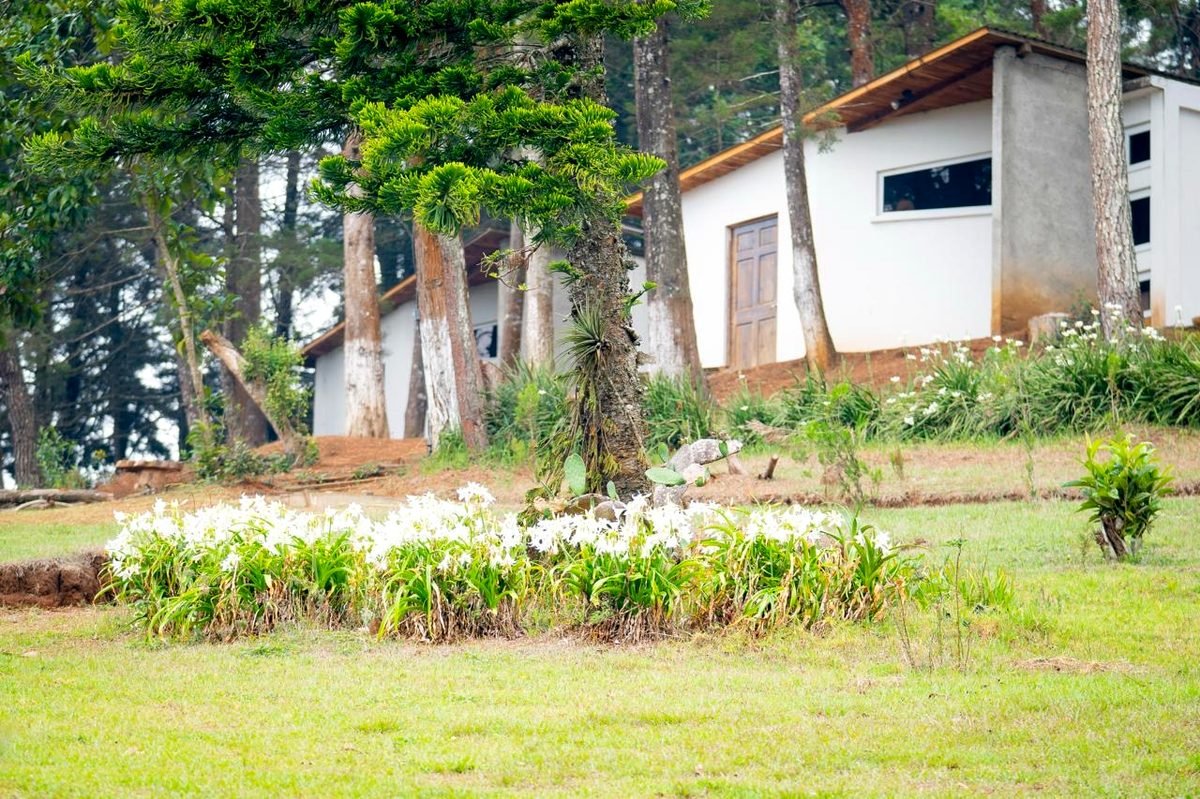 Jardín con cabañas al fondo